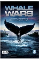 Watch Whale Wars Tvmuse